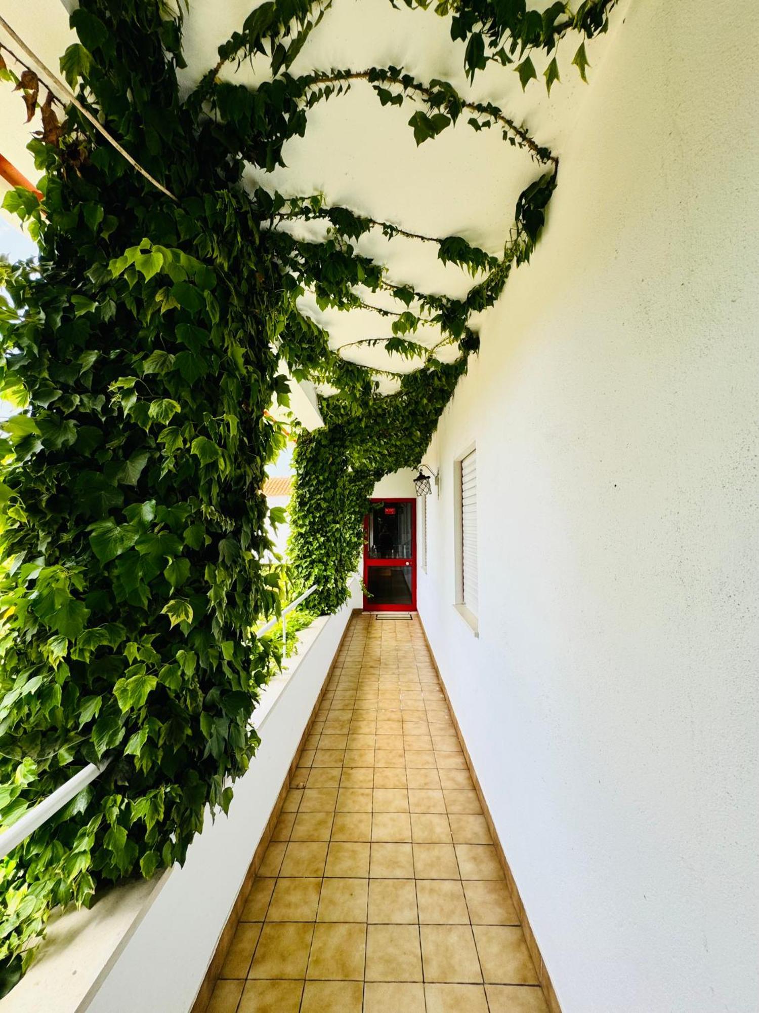 Nature & Beach Guest Rooms, Aldeamento Turistico Do Camarido Cristelo  Exterior photo